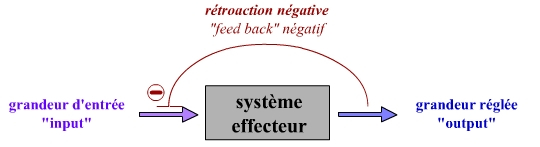 Modélisation cybernétique d’un régulateur en constance