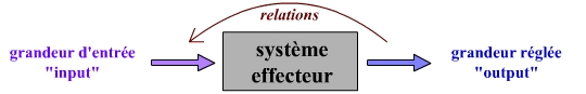 Modélisation cybernétique d’un système effecteur