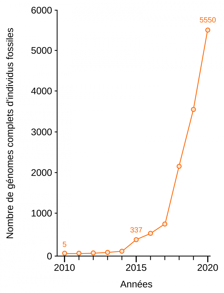 L'explosion du nombre de génomes anciens séquencés