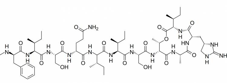 Structure de la teixobactine