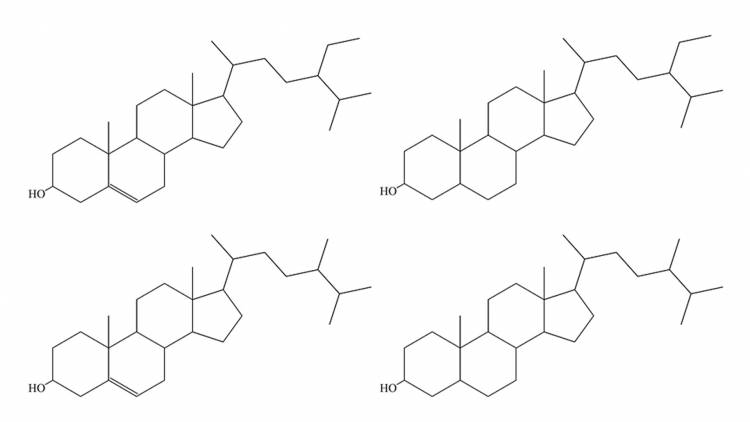 Structures des principaux phytostérols et phytostanols d'importance biologique