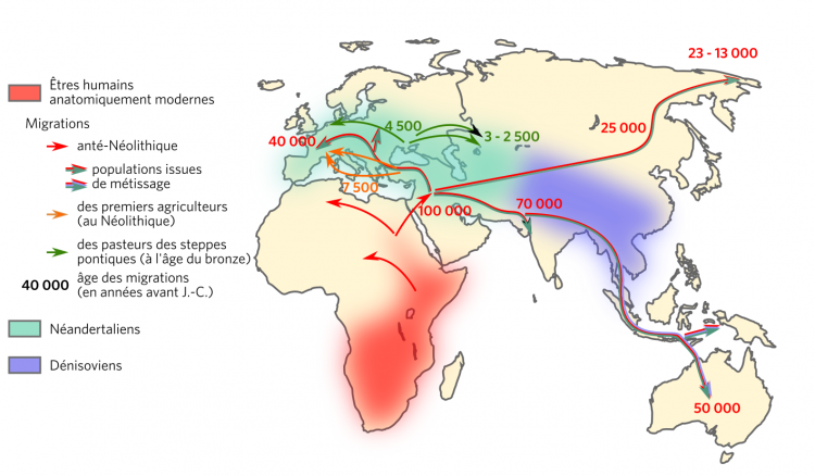 Carte des migrations humaines