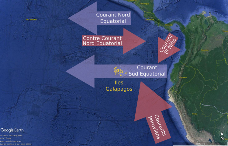 Courants marins superficiels baignant les Galápagos dans le Pacifique Est