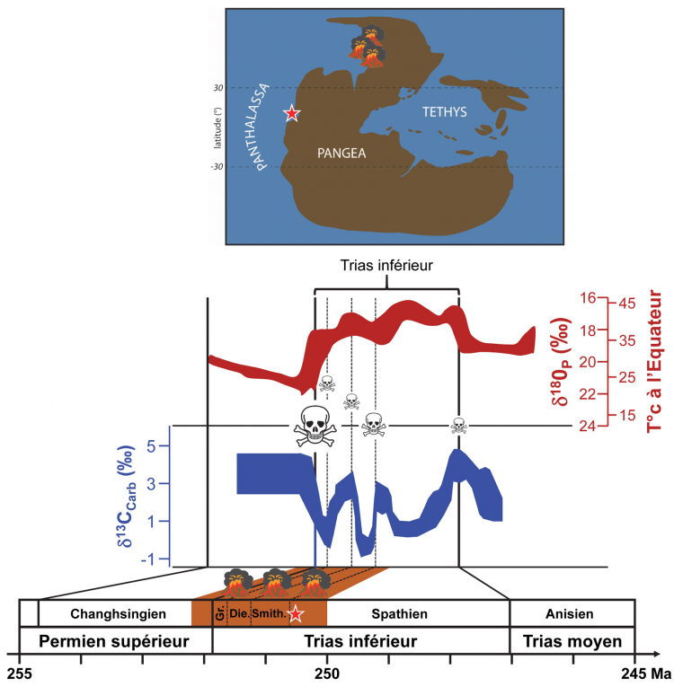 Le Trias inférieur : une période enregistrant des perturbations majeures des cycles du carbone et de l’oxygène contrôlées par l’activité des trapps de Sibérie.