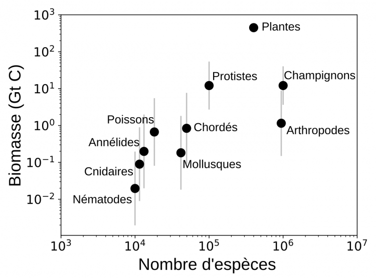 Biomasse en fonction du nombre d'espèces