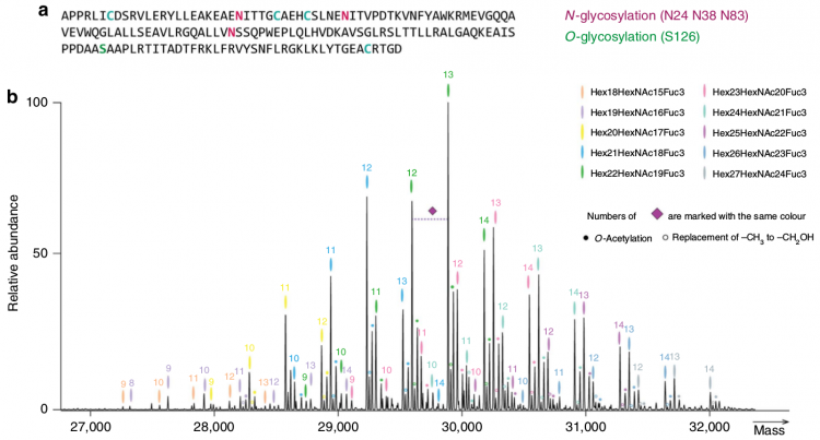 Séparation des différentes isoformes de rHuEPO par spectrométrie de masse de haute résolution