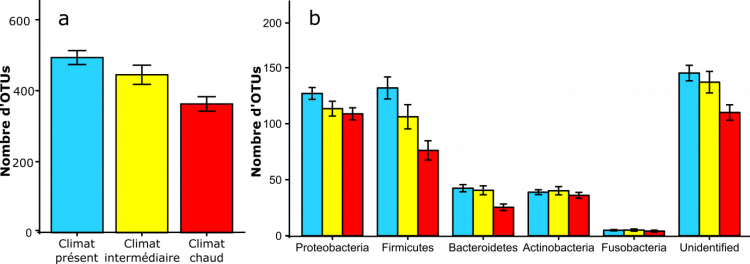 Impact des conditions climatiques sur la richesse bactérienne