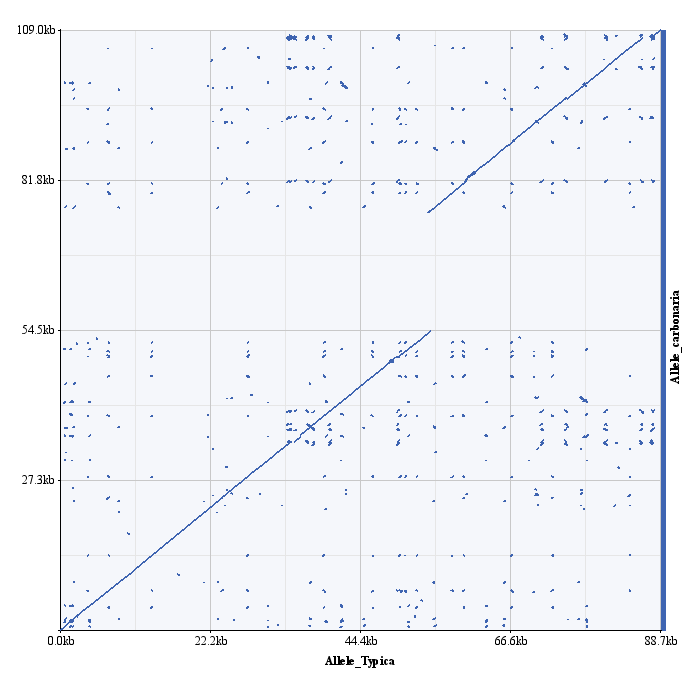 Exemple d’analyse de séquences utilisant l’outil zPicture