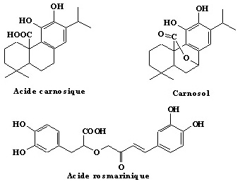 Structures de quelques composés d'épices et d'herbes aromatiques dotés de pouvoirs antioxydants