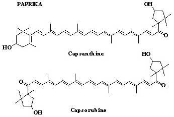 Pigments des épices