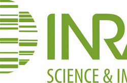 Inra