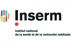 Inserm
