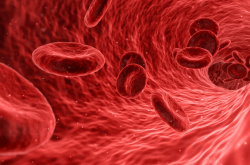 Globules rouges - Image de synthèse