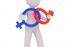Logo mâle - femelle