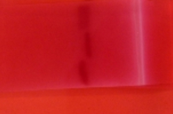 Bande d'acétate dans un bain de rouge ponceau