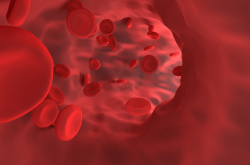 Globules rouges dans un vaisseau