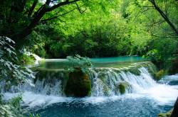 Qualité de l'eau