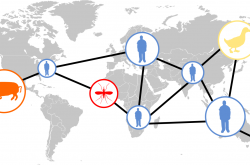 Émergence de virus