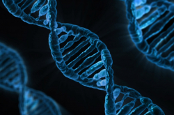 Molécule d'ADN (infographie)