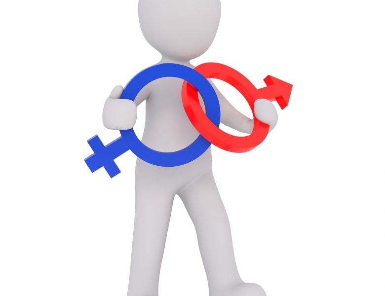 Logo mâle - femelle