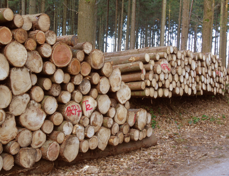 Exploitation de bois