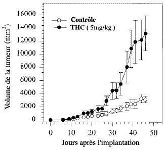 Le THC augmente la tumorigénicité chez les souris immunocompétentes.