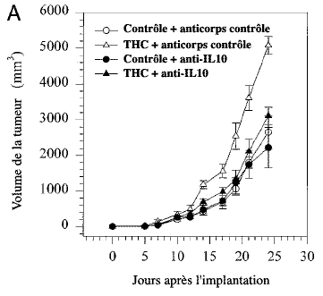 Le THC n'augmente pas la tumorigénicité lorsque l'action de IL-10 est bloquée.