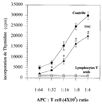 Le THC inhibe les capacités de réponse des Lymphocytes T.