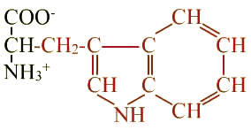 formule de l'acide aminé tryptophane