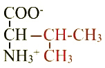 formule de l'acide aminé valine